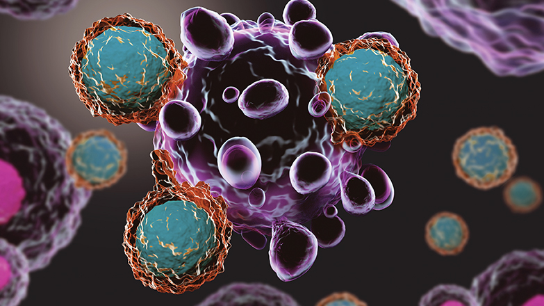 3d illustration of T cells attacking cancer cells